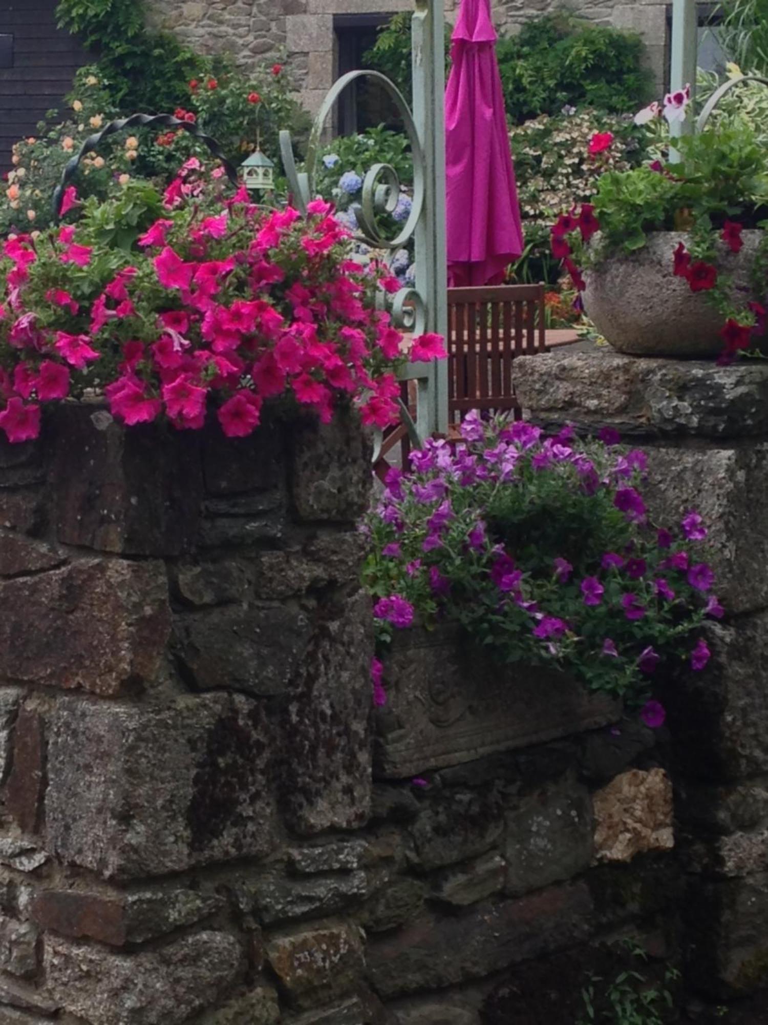 Le Petit Chateau, Matisse Noyal-Pontivy Kültér fotó